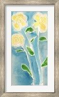 Framed Spring Annuals II