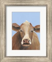 Framed Cow-don Bleu IV