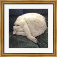 Framed Cat Yoga I