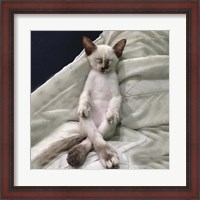 Framed Cat Yoga II