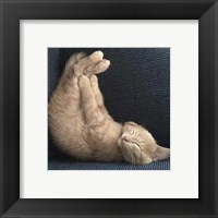 Framed 'Cat Yoga VII' border=