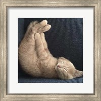 Framed Cat Yoga VII