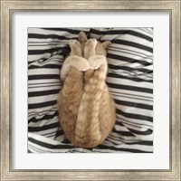 Framed Cat Yoga IX