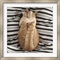 Framed Cat Yoga IX