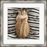 Framed Cat Yoga IX