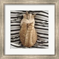 Framed Cat Yoga IX