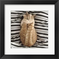 Framed 'Cat Yoga IX' border=