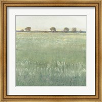 Framed Green Meadow I