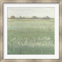 Framed Green Meadow II