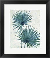 Framed Palm Leaves I
