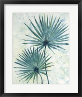 Palm Leaves II Framed Print
