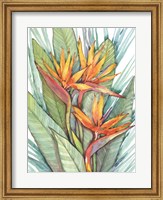 Framed Tropical Botanical Paradise II