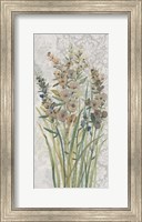 Framed Patch of Wildflowers I