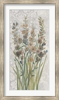 Framed Patch of Wildflowers II