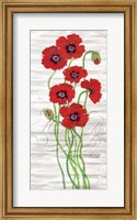 Framed Red Poppy Panel II