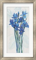 Framed Blue Iris Panel II