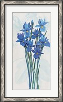 Framed Blue Iris Panel II