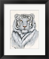 Framed White Tiger I