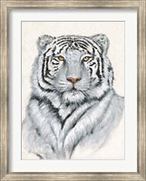 Framed White Tiger I