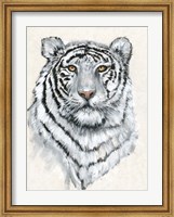 Framed White Tiger II