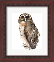 Framed Watercolor Owl I