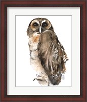 Framed Watercolor Owl I