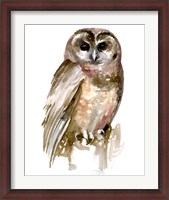 Framed Watercolor Owl II