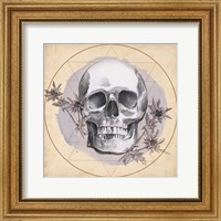 Framed Skull Thistle I