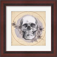 Framed Skull Thistle I