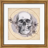 Framed Skull Thistle I