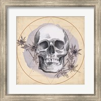 Framed Skull Thistle I