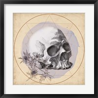 Framed Skull Thistle II