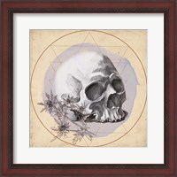 Framed Skull Thistle II