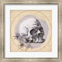 Framed Skull Thistle II