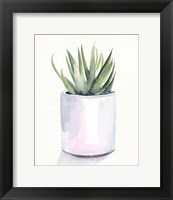 Framed Potted Succulent III