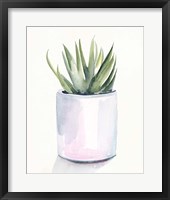 Framed Potted Succulent III