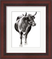 Framed Charcoal Cattle I