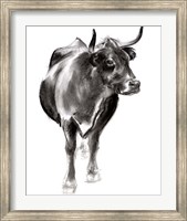 Framed Charcoal Cattle I