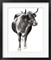 Charcoal Cattle I Framed Print
