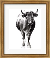 Framed Charcoal Cattle II