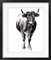 Charcoal Cattle II Framed Print