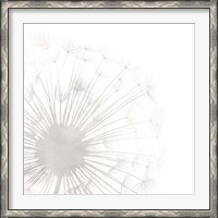 Framed Dandelion Whisper I