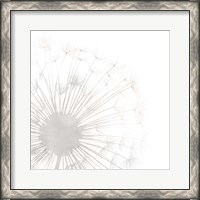 Framed Dandelion Whisper I