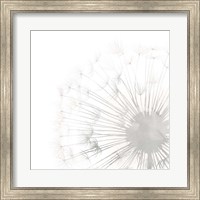 Framed Dandelion Whisper II