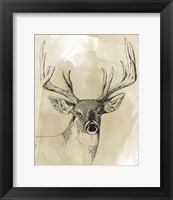 Framed Burnished Buck I