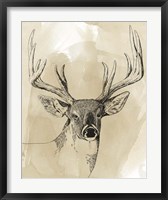 Framed Burnished Buck I