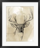 Framed Burnished Buck I