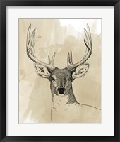 Framed Burnished Buck II