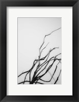 Framed Searching Branches I