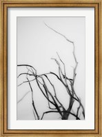 Framed Searching Branches II